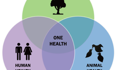 Diagrama de Una Salud que conecta la salud humana, animal y ambiental