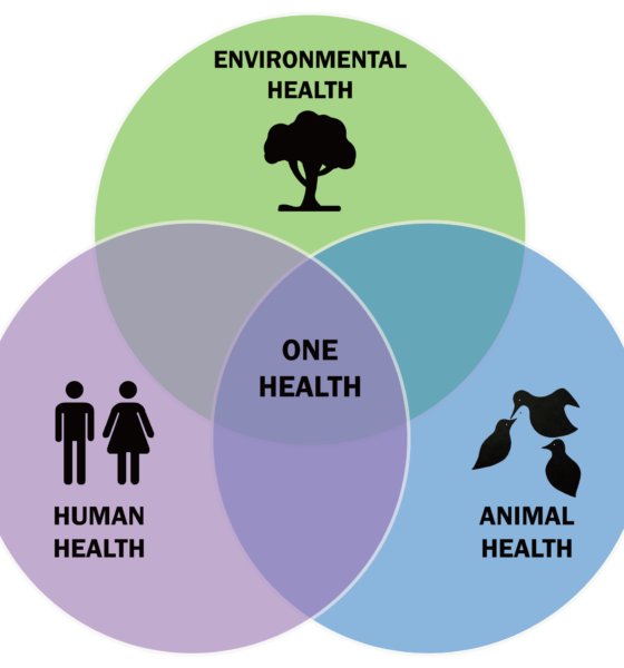 Diagrama de Una Salud que conecta la salud humana, animal y ambiental