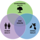 Diagrama de Una Salud que conecta la salud humana, animal y ambiental