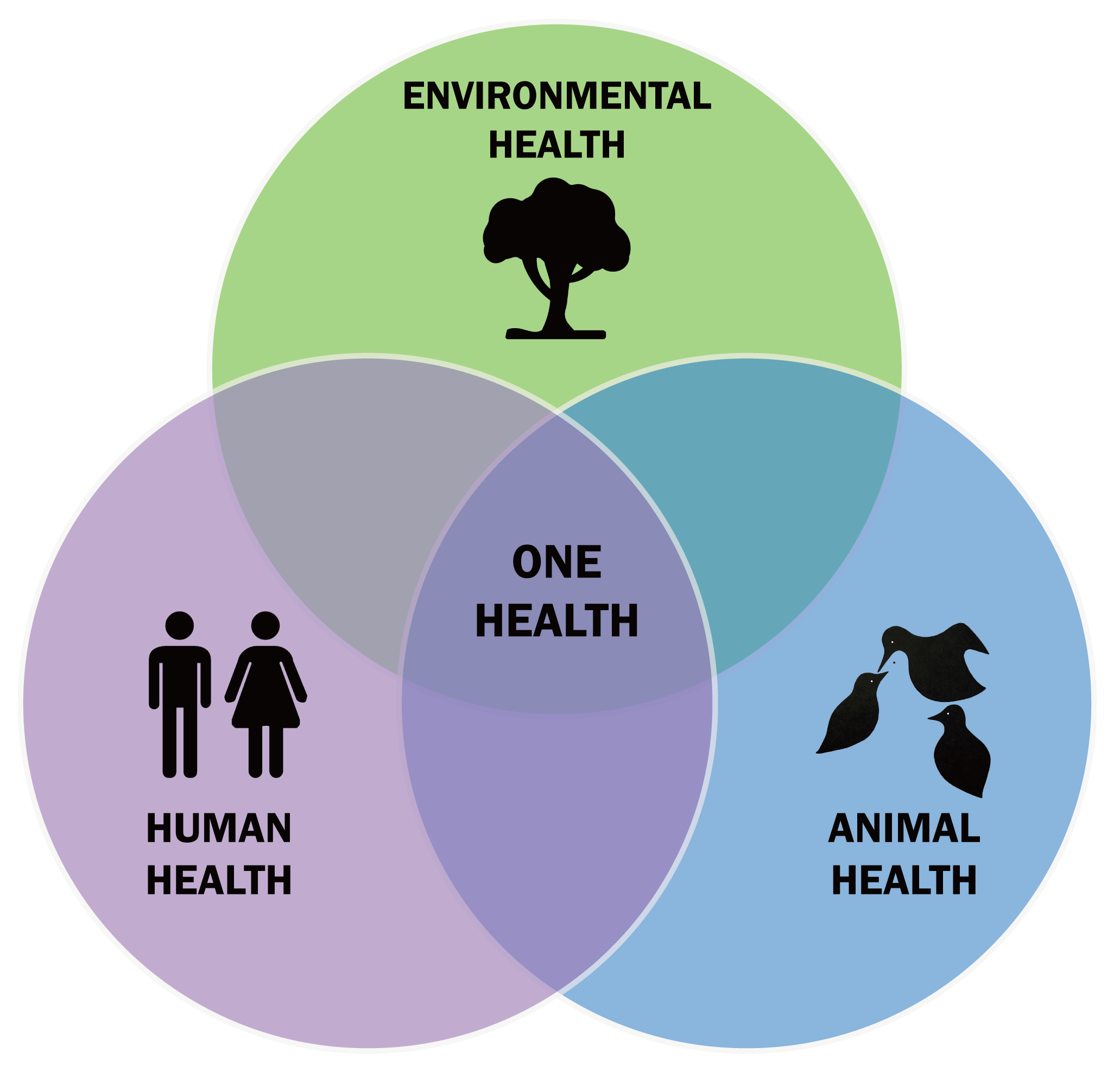 Diagrama de Una Salud que conecta la salud humana, animal y ambiental